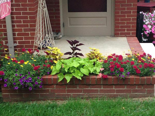 Landscaping-2